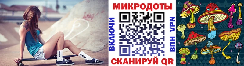 Купить закладки  Полесск  Псилоцибиновые грибы мицелий 